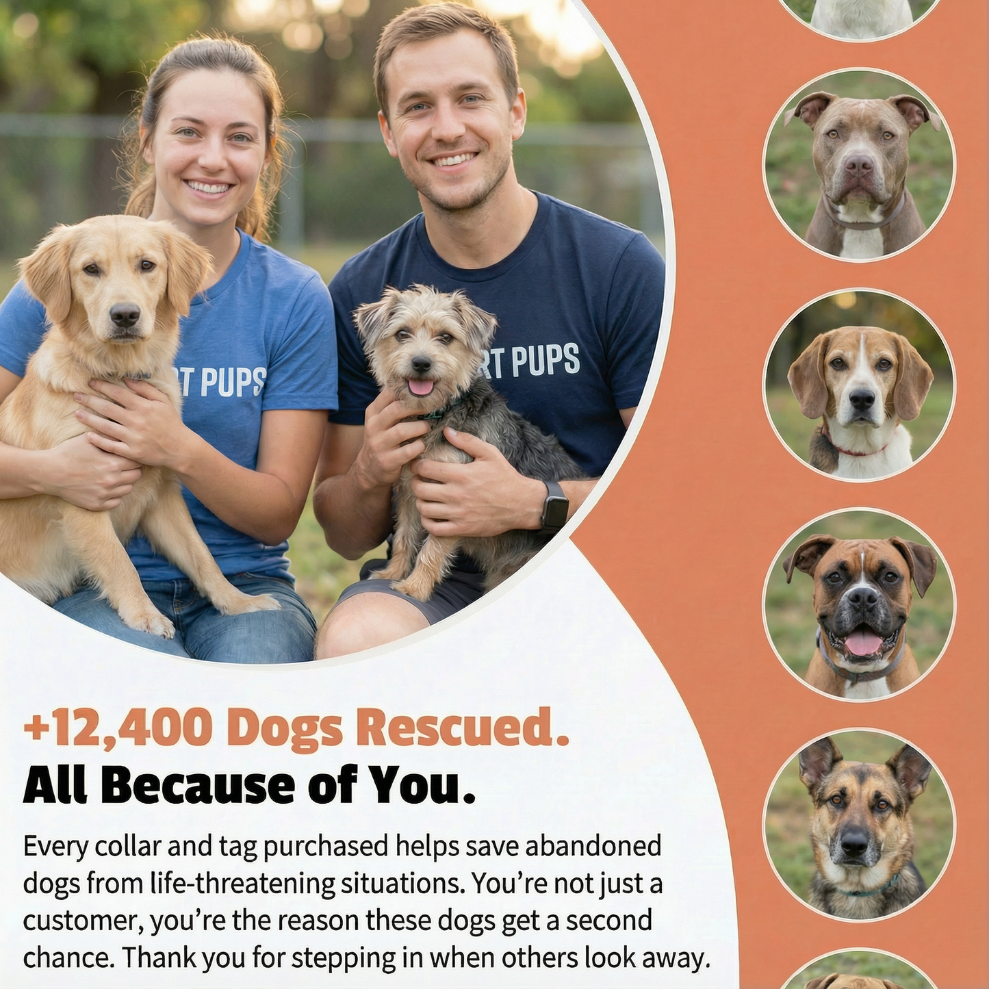 Rehome a dog to a No-Kill Shelter