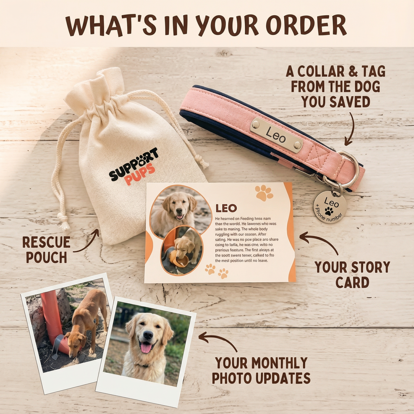 Rehome a dog to a No-Kill Shelter