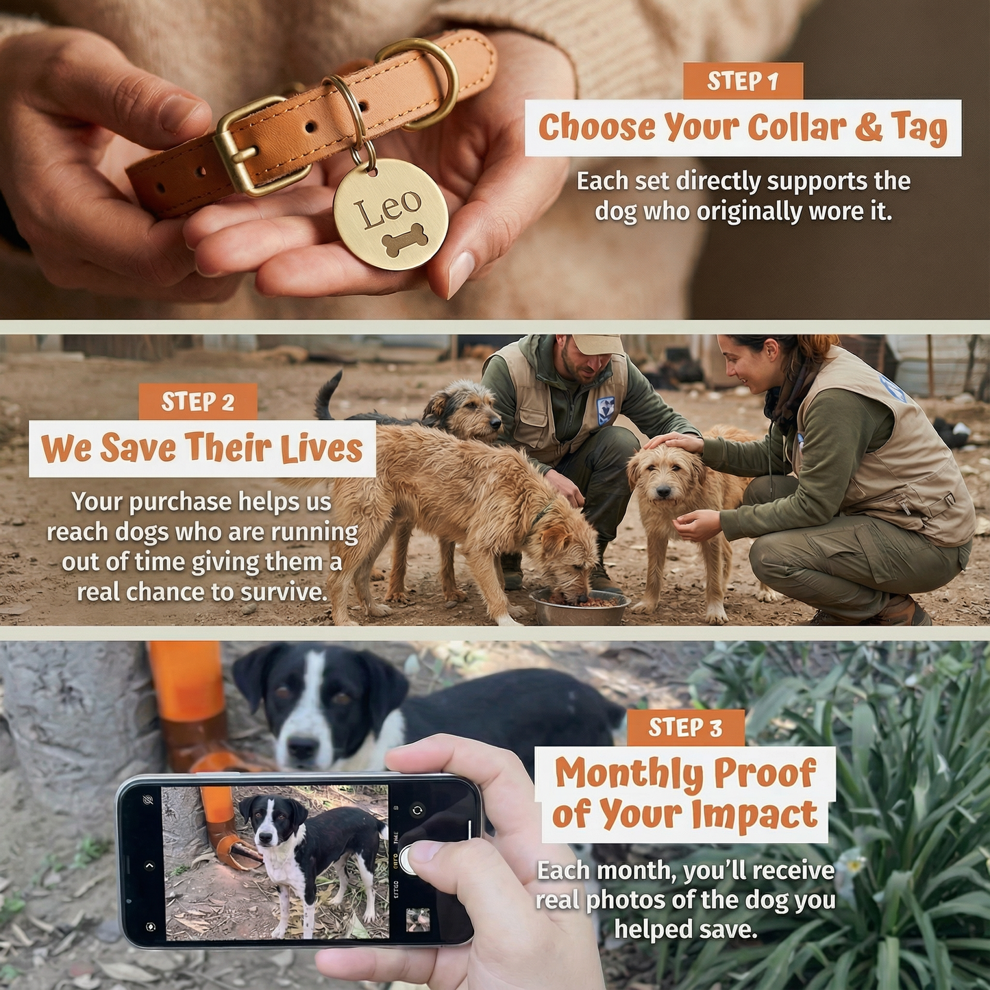 Rehome a dog to a No-Kill Shelter